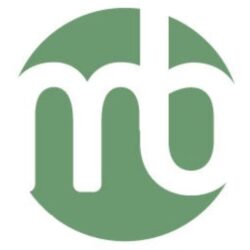 Medienbarone
